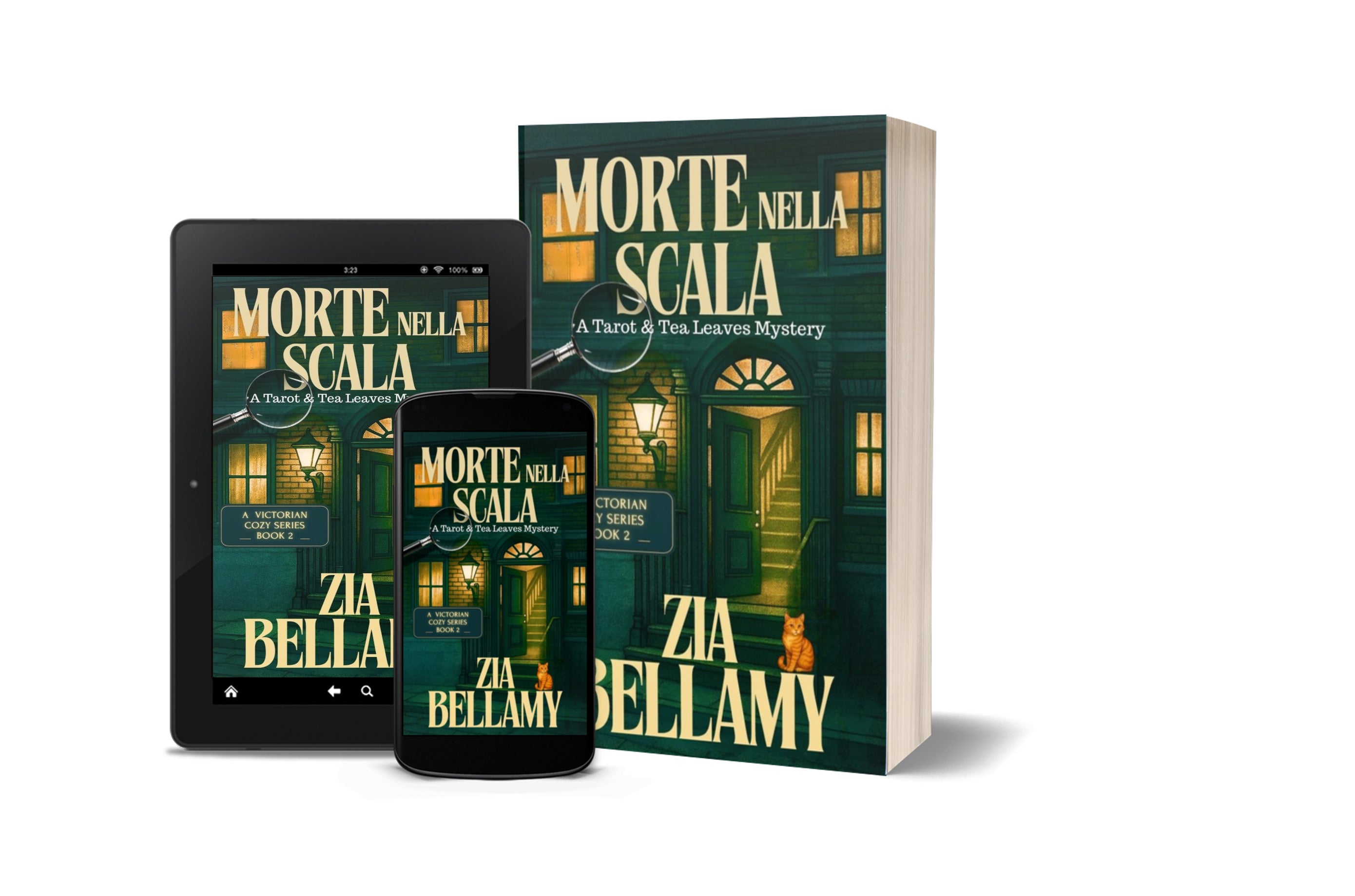 Morte Nella Scala